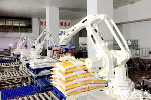 科技賦能，農(nóng)頭工尾 濰坊安丘新安街道鍛造健康食品產(chǎn)業(yè)黃金鏈條